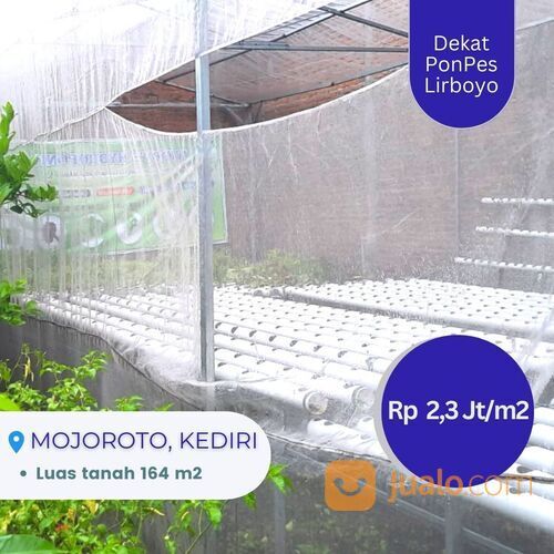 Tanah 5 Menit Pondok Lirboyo Kediri Luas 164 m2