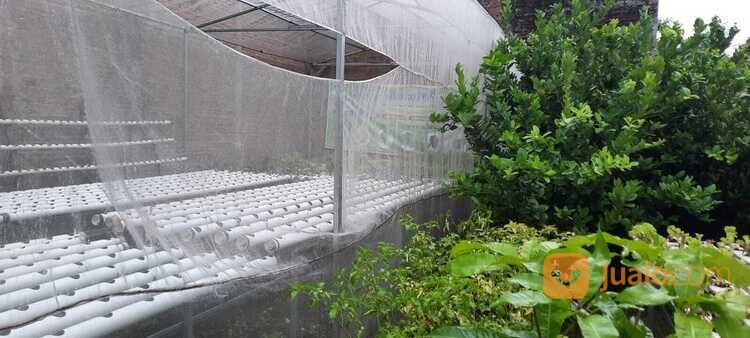 Tanah 5 Menit Pondok Lirboyo Kediri Luas 164 m2