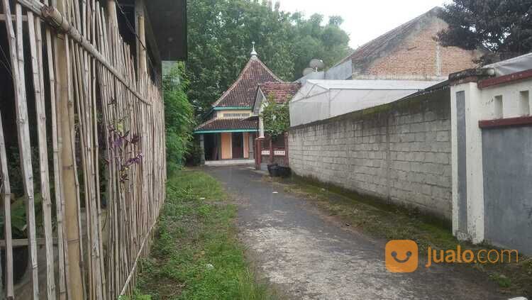 Tanah 5 Menit Pondok Lirboyo Kediri Luas 164 m2