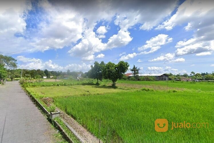VILLA JOGJA, TANAH View Sawah, Cocok Bangun Villa Di Jalan Damai