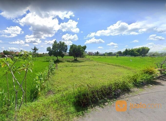 VILLA JOGJA, TANAH View Sawah, Cocok Bangun Villa Di Jalan Damai