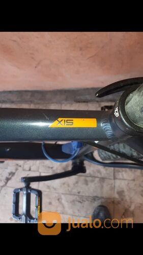 Sepeda Gunung Polygon X15