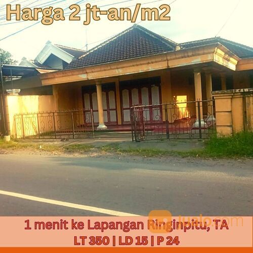 Tanah SHM Pinggir Jalan Raya Ringinpitu Tulungagung