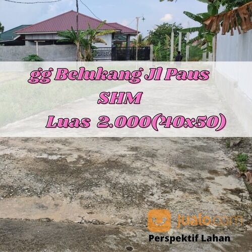 Tanah gg. belukang jl. paus daerah ramai