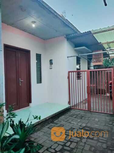 RUMAH KOST KOSTAN SIAP HUNI PATUNG KUDA UNDIP