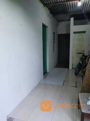 RUMAH KOST KOSTAN SIAP HUNI PATUNG KUDA UNDIP