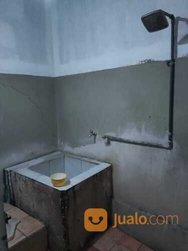 RUMAH KOST KOSTAN SIAP HUNI PATUNG KUDA UNDIP