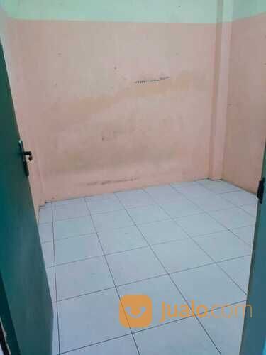 RUMAH KOST KOSTAN SIAP HUNI PATUNG KUDA UNDIP