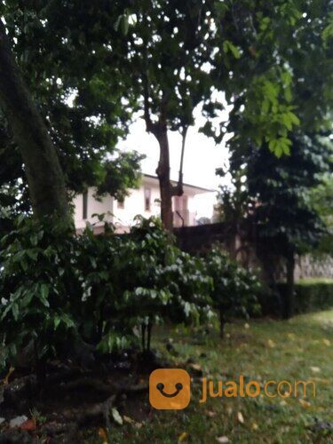 bisnis impian ? strategis, Dapatkan Tanah 5000 meter di jagakarsa, harga terjangkau.