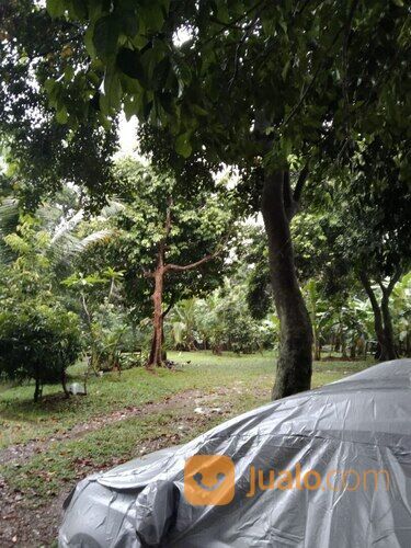 bisnis impian ? strategis, Dapatkan Tanah 5000 meter di jagakarsa, harga terjangkau.