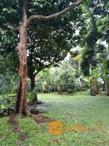 bisnis impian ? strategis, Dapatkan Tanah 5000 meter di jagakarsa, harga terjangkau.