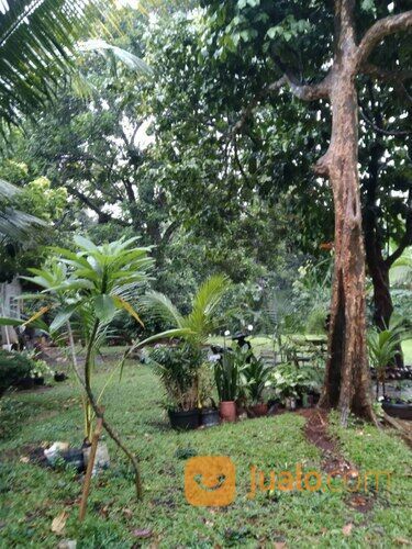 bisnis impian ? strategis, Dapatkan Tanah 5000 meter di jagakarsa, harga terjangkau.