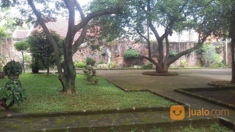 Tanah Murah 5000 meter di jagakarsa jaksel