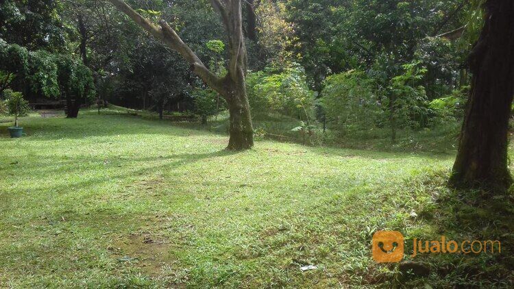 Tanah Murah 5000 meter di jagakarsa jaksel