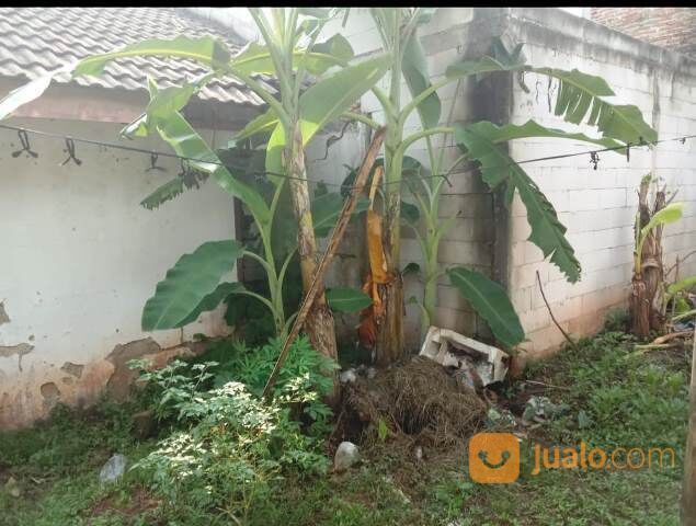 2 unit rumah perlu renov di bukit cikasungka Tigaraksa