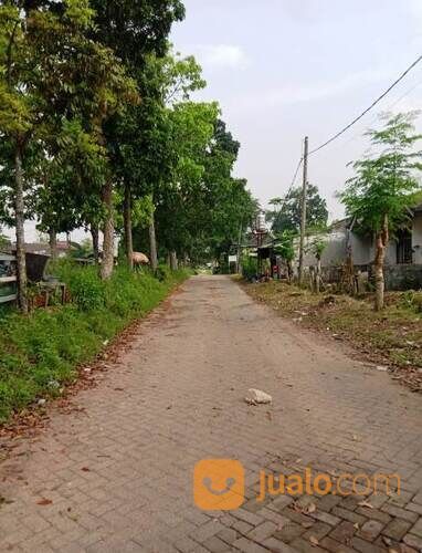 2 unit rumah perlu renov di bukit cikasungka Tigaraksa