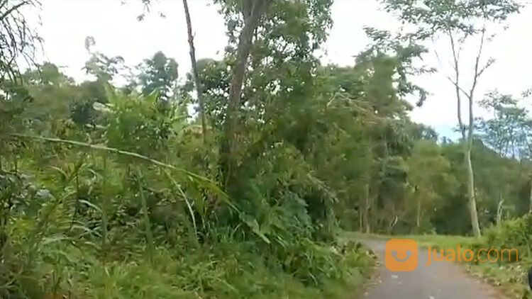 TANAH LUAS 2,5HA DI WAGIR MALANG