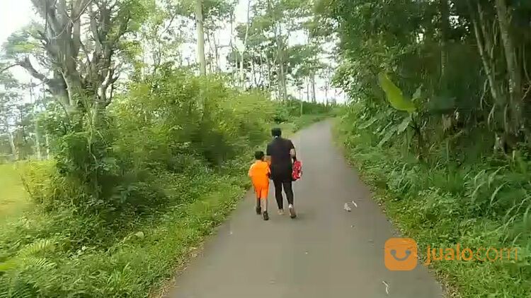 TANAH LUAS 2,5HA DI WAGIR MALANG