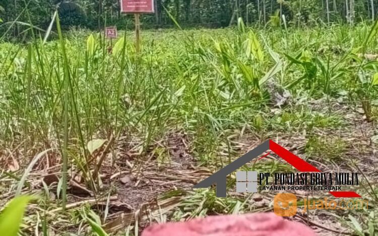 Kawasan Wisata Kulon Progo Rumah Baru desain Etnik Cocok Untuk Homestay atau Rumah Tinggal