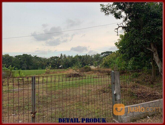 Tanah Cocok Indomaret, 10 Menit YIA, Mangku Jalan Wates Jogja