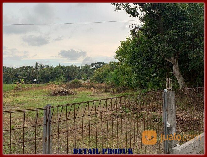 Tanah Cocok Indomaret, 10 Menit YIA, Mangku Jalan Wates Jogja