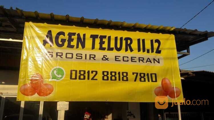 AGEN TELUR AYAM