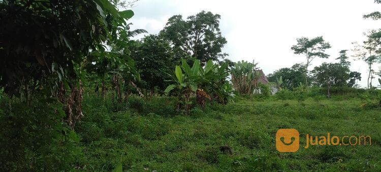 SIAP BALIK NAMA! TANAH DEPAN DISKOPNAKER BOYOLALI, AMBIL SEKARANG MUMPUNG MASIH 1 JUTAAN