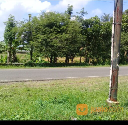 Tanah 100 sampai 1000 hektar Subang Indramayu Jawa barat