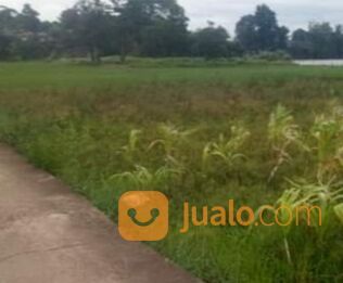 Tanah komersil 5 hektar Cileungsi Bogor.