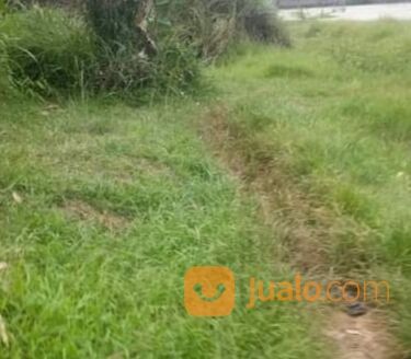 Tanah komersil 5 hektar Cileungsi Bogor.