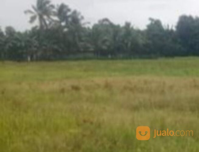 Tanah komersil 5 hektar Cileungsi Bogor.