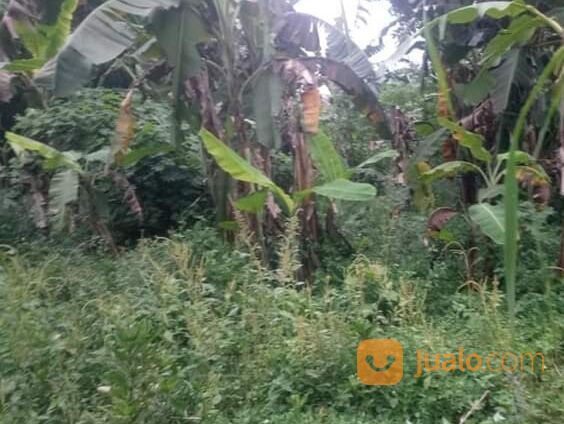 Tanah komersil 5 hektar Cileungsi Bogor.