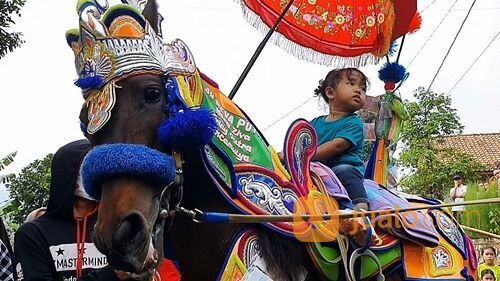 Kuda Renggong Surya Kencana
