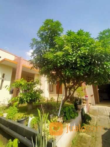 Rumah Kost Bogor Full Booked Dekat Universitas Nusa Bangsa