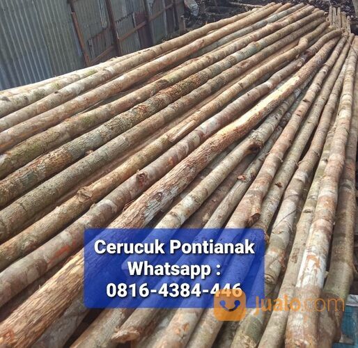 HARGA KAYU CERUCUK LOKAL PONTIANAK 08164384446