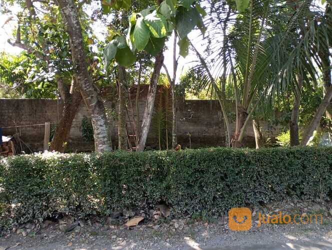 Tanah Pekarangan dekat tugu lele plosokuning minomartani utara condongcatur