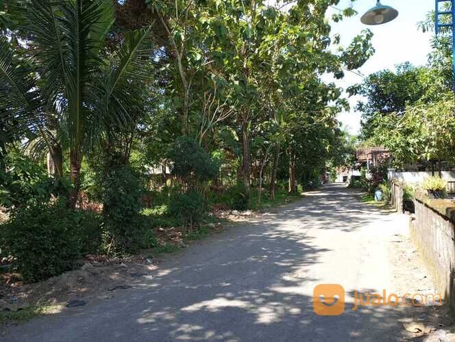 Tanah Pekarangan dekat tugu lele plosokuning minomartani utara condongcatur