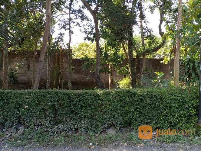 Tanah Pekarangan dekat tugu lele plosokuning minomartani utara condongcatur