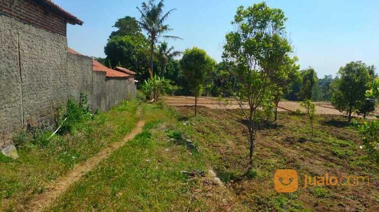 Tanah Kawasan Linggarjati Kuningan - Harga Nego