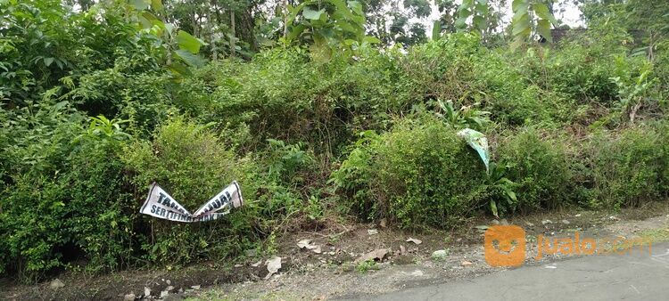 Tanah Pekarangan Tengah Kampung Sambon, Banyudono, Hook 2 Jalan, SHM Ready