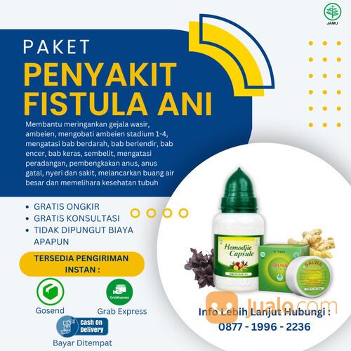 Obat Fisura Anus Fistula Ani Fisura Anal Kapsul Alami Daun Ungu 100% Original Hemodjie Salwa