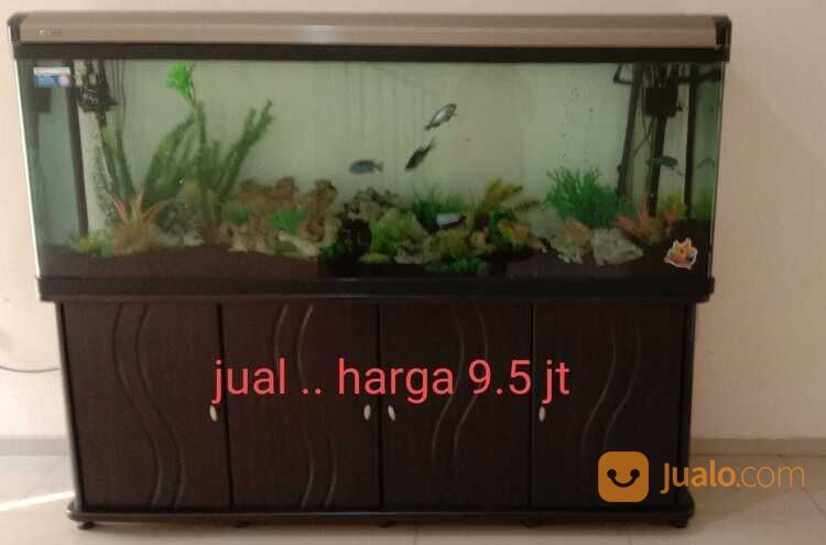 AQUARIUM BEKAS BESERTA SEMUA ISINYA LENGKAP DARI POMPA FILTER HINGGA LAMPU LED
