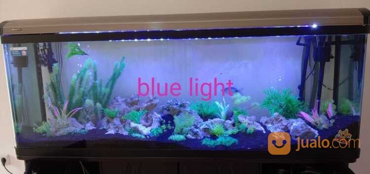 AQUARIUM BEKAS BESERTA SEMUA ISINYA LENGKAP DARI POMPA FILTER HINGGA LAMPU LED