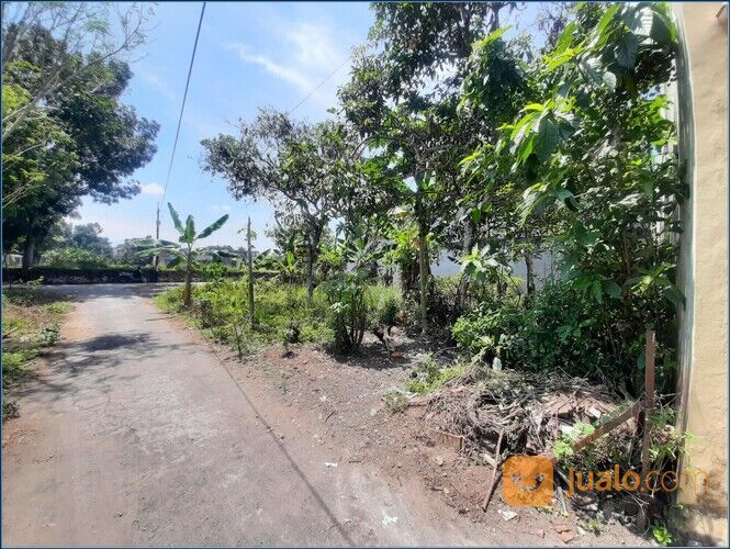 1,4 Km. Hyatt Regency: Tanah Pekarangan Jogja