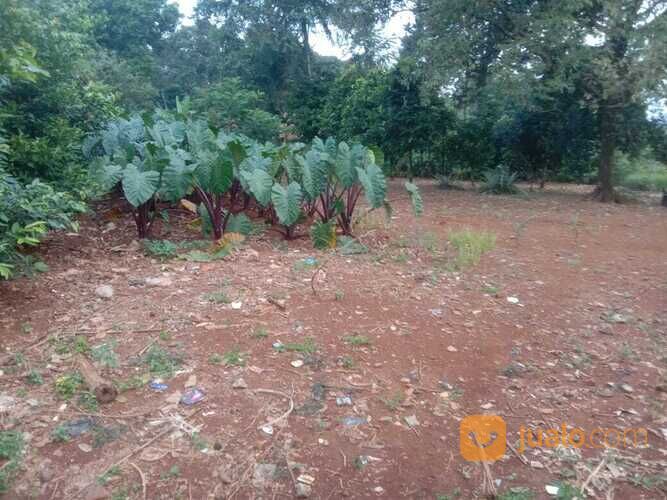 Area Perumahan Sentul City. Lokasi Strategis, SHM, Mulai 3 Jutaan