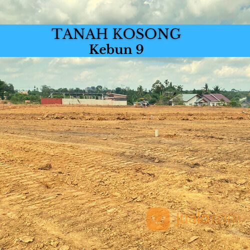 Tanah Murah kebun 9 Muaro Jambi