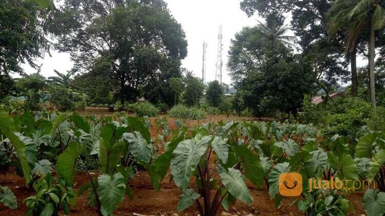 Area Perumahan Sentul City. Lokasi Strategis, SHM, Mulai 3 Jutaan