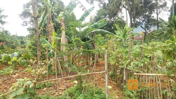 Area Perumahan Sentul City. Lokasi Strategis, SHM, Mulai 3 Jutaan