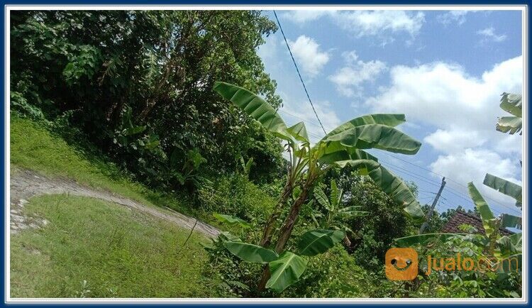 3 Menit Tugu Lilin Kasihan: Tanah Jogja 1 Jutaan/meter