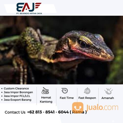 Jasa Exsport Rebtil | Spesialis Exsport Binatang